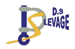 dslevage